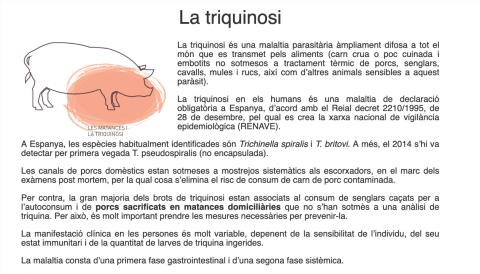 triquina 