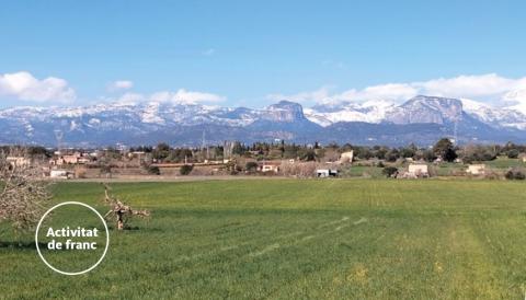 UOM a Mallorca 2025