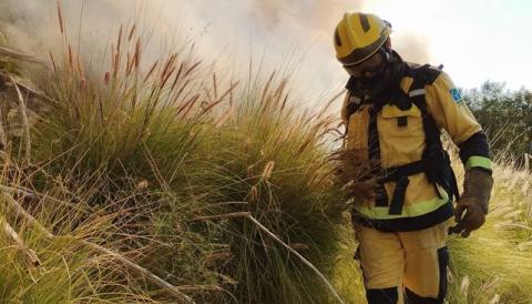 incendi